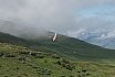 Fideriser Heuberge 2016