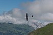 Fideriser Heuberge 2016