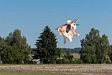 Freundschaftsfliegen MFG B&uuml;lach 2016