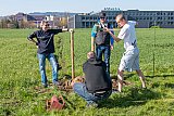 Flugplatz Instandstellung 2018
