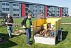 Flugplatz Instandstellung 2018