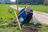 Flugplatz Instandstellung 2018