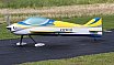 F3A Regional und Interregional Wettbewerb 2010