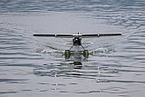 Wasserfliegen Sempachersee 2022