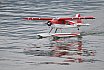 Wasserfliegen Sempachersee 2022