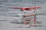 Wasserfliegen Sempachersee 2022