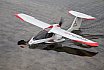 Wasserfliegen Sempachersee 2022