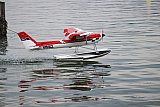 Wasserfliegen Sempachersee 2022