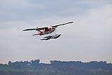 Wasserfliegen Sempachersee 2022