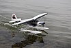 Wasserfliegen Sempachersee 2022