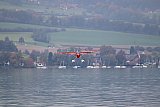 Wasserfliegen Sempachersee 2022