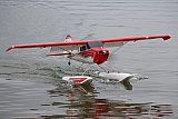 Wasserfliegen Sempachersee 2022