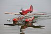 Wasserfliegen Sempachersee 2022