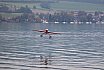 Wasserfliegen Sempachersee 2022