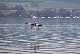 Wasserfliegen Sempachersee 2022