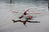 Wasserfliegen Sempachersee 2022