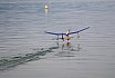Wasserfliegen Sempachersee 2022