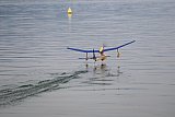 Wasserfliegen Sempachersee 2022