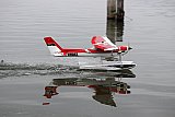 Wasserfliegen Sempachersee 2022