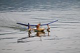 Wasserfliegen Sempachersee 2022