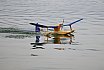 Wasserfliegen Sempachersee 2022