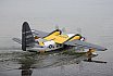 Wasserfliegen Sempachersee 2022