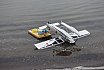 Wasserfliegen Sempachersee 2022
