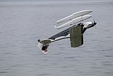 Wasserfliegen Sempachersee 2022