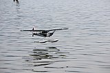 Wasserfliegen Sempachersee 2022