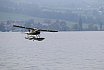 Wasserfliegen Sempachersee 2022