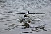 Wasserfliegen Sempachersee 2022