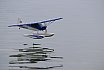 Wasserfliegen Sempachersee 2022