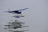 Wasserfliegen Sempachersee 2022
