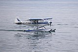 Wasserfliegen Beckenried 2023 