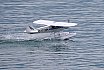Wasserfliegen Beckenried 2023 
