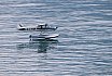 Wasserfliegen Beckenried 2023 