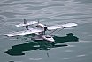 Wasserfliegen Beckenried 2023 