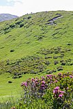 Fideriser Heuberge 2015