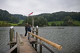 Wasserfliegen Bichelsee 2021