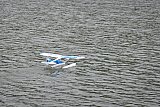 Wasserfliegen Bichelsee 2021