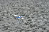 Wasserfliegen Bichelsee 2021