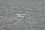 Wasserfliegen Bichelsee 2021