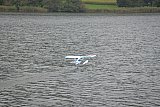 Wasserfliegen Bichelsee 2021