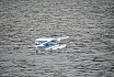 Wasserfliegen Bichelsee 2021