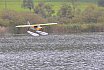 Wasserfliegen Bichelsee 2021