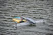 Wasserfliegen Bichelsee 2021