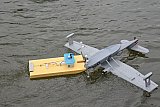 Wasserfliegen Bichelsee 2021