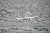 Wasserfliegen Bichelsee 2021