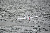 Wasserfliegen Bichelsee 2021
