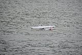 Wasserfliegen Bichelsee 2021